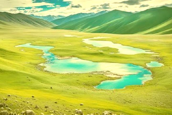Violet, 25 — Escort in Altan-Ovoo, Mongolia