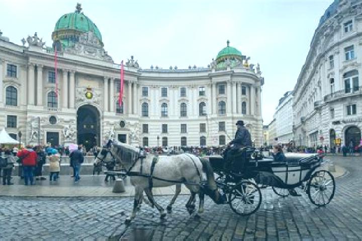 Violet, 25 — Escort in Innere Stadt, Austria
