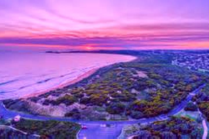 Violet, 25 — Escort in Lyndoch, Australia