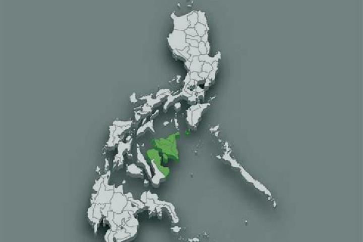 Violet, 25 — Escort in Mabunga, Philippines