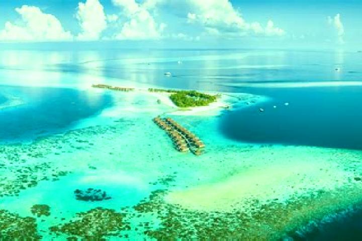 Violet, 25 — Escort in Viligili, Maldives