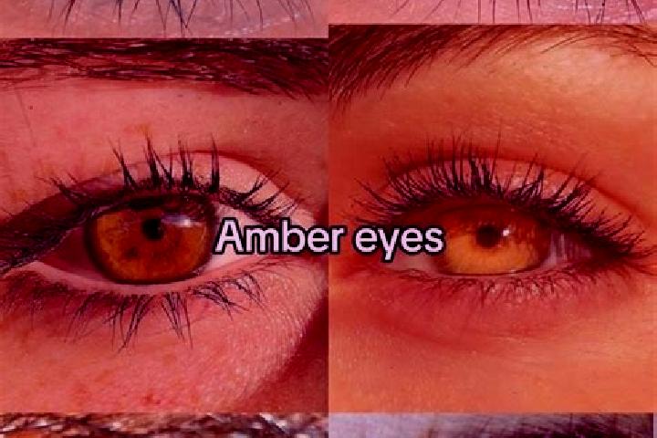 Violet, 26, a chestnut amber-eyed middle eastern companion based in Oppum. Offering Overnight, CIM, Girlfriend Experience. Available for incall and outcall, ...