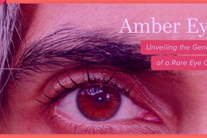 Violet, 26, a red amber-eyed middle eastern companion based in Nottwil. Offering Overnight, Duos, Dinner Date, GFE. Available for incall and outcall, overnig...