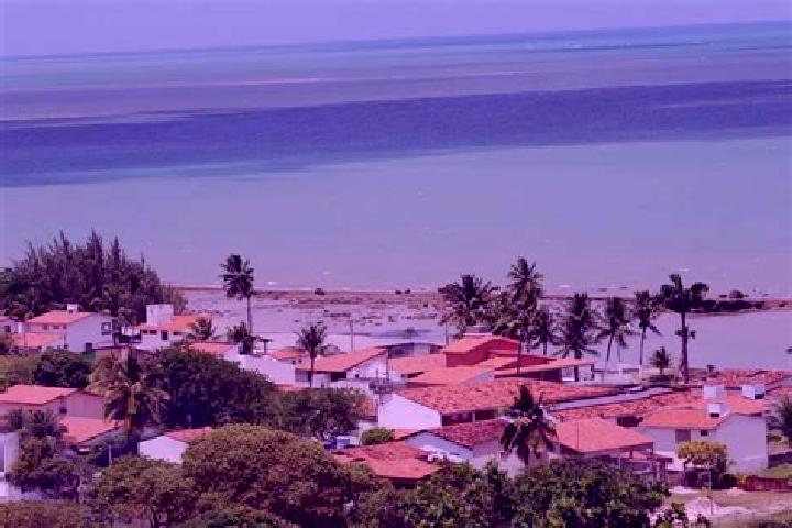 Violet, 26, a red dark-eyed mixed companion based in Ilha de Itamaraca. Offering Overnight, Travel Companion, Tantra, Couples. Available for incall and outca...