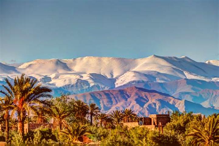 Violet, 26 — Escort in Ahfir, Morocco