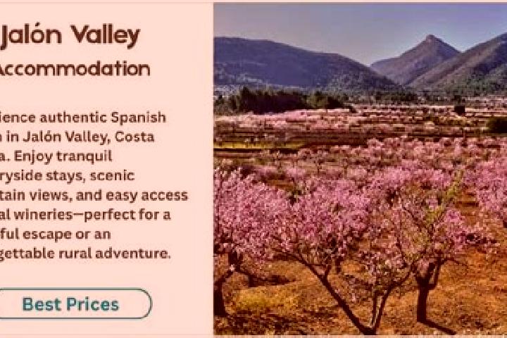 Violet, 26 — Escort in Arcos de Jalon, Spain