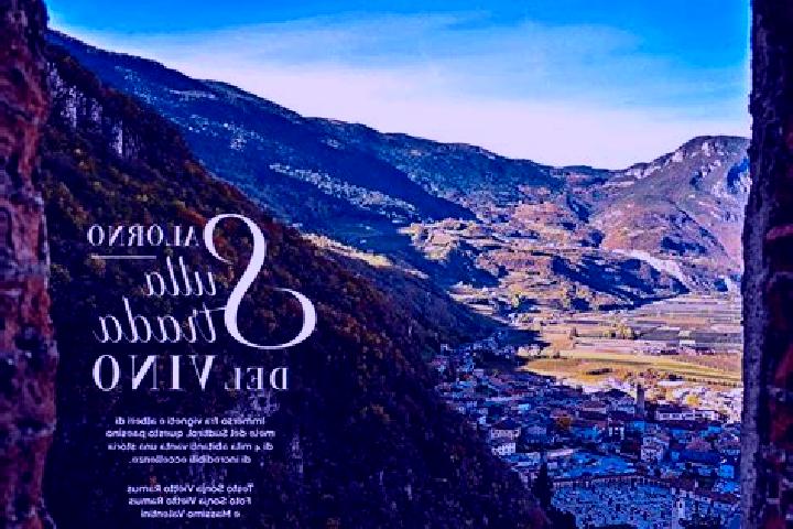 Violet, 26 — Escort in Caldaro sulla Strada del Vino, Italy