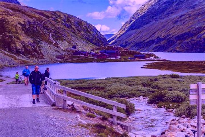 Violet, 26 — Escort in Dovre, Norway