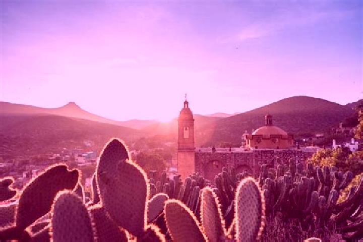 Violet, 26 — Escort in El Jaralito, Mexico