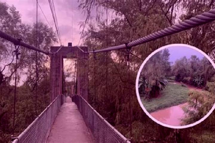 Violet, 26 — Escort in La Limita de Itaje, Mexico