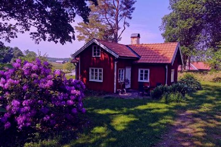 Violet, 26 — Escort in Sollebrunn, Sweden