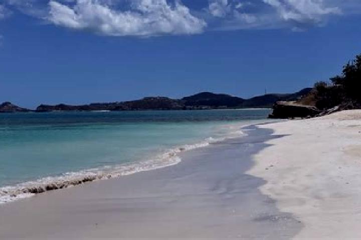 Violet, 26 — Escort in Urlings, Antigua and Barbuda
