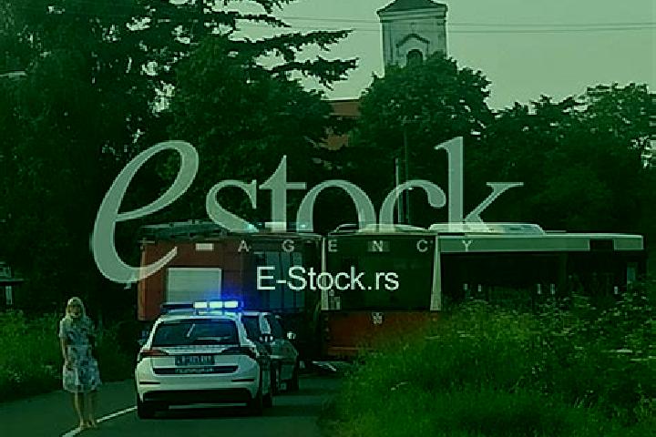 Violet, 26 — Escort in Velika Mostanica, Serbia