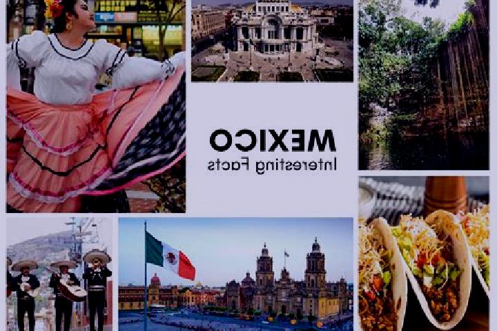 Violet, 27 — Escort in Atexcalco, Mexico