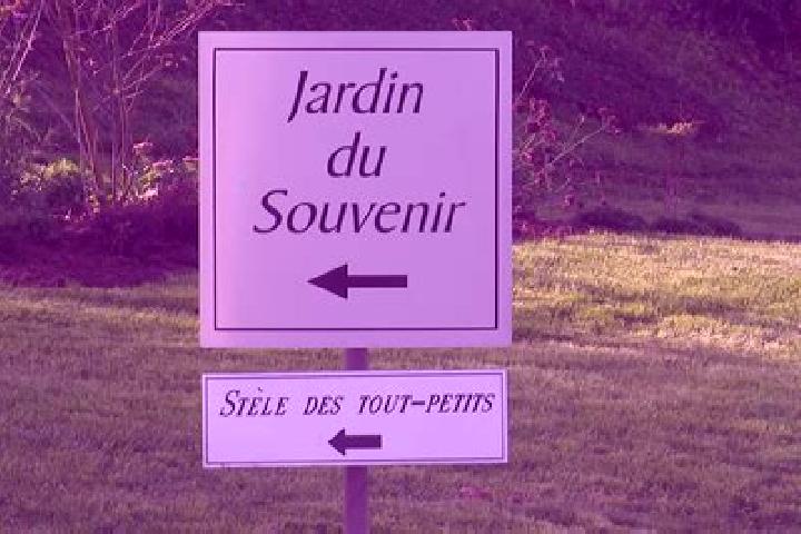 Violet, 27 — Escort in Herlies, France