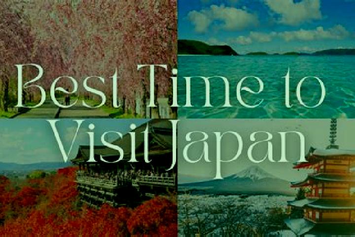 Violet, 27 — Escort in Itabashi, Japan
