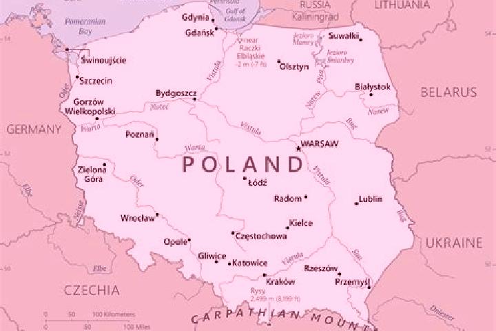 Violet, 27 — Escort in Jedlinsk, Poland