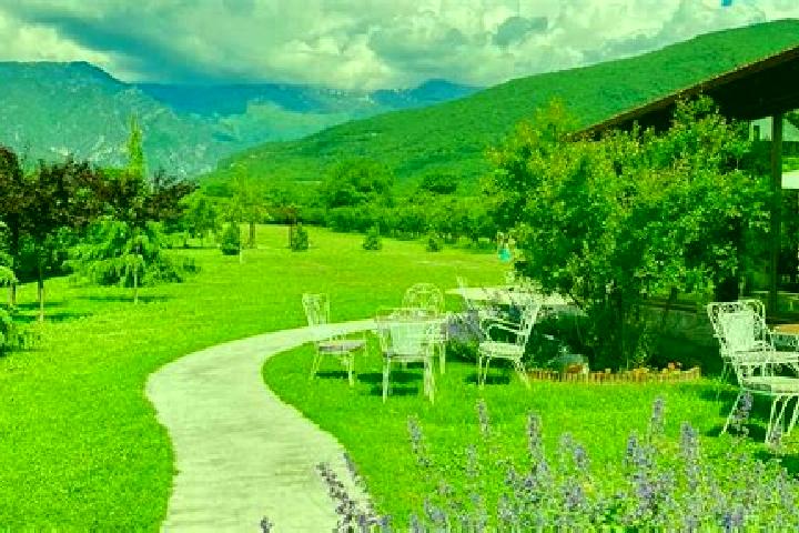 Violet, 27 — Escort in Orma, Greece