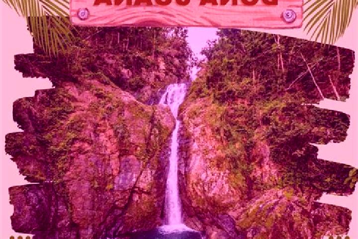 Violet, 27 — Escort in Paso de Dona Juana, Mexico