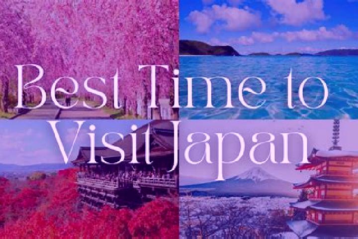 Violet, 27 — Escort in Seto, Japan