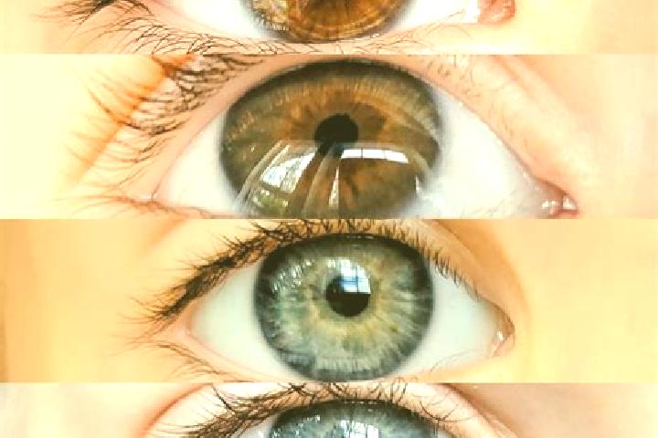 Violet, 28, a chestnut dark-eyed middle eastern companion based in Cobanlar. Offering A-Level, Party Girl, Fetish. Available for incall and outcall, overnigh...