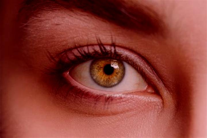 Violet, 28, a chestnut hazel-eyed mixed companion based in Carignan-de-Bordeaux. Offering Dinner Date, Deep French Kissing, 69, Prostate Massage. Available f...