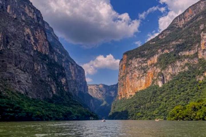Violet, 28 — Escort in Acacoyagua, Mexico