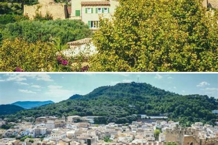 Violet, 28 — Escort in Capdepera, Spain