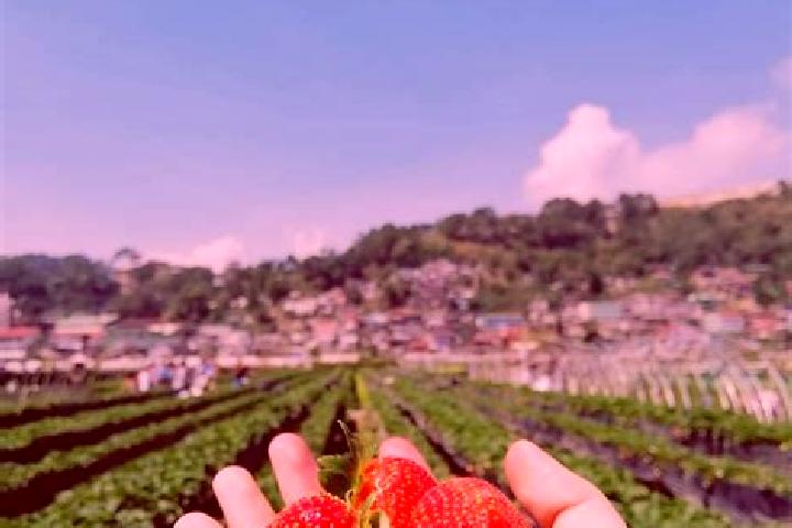 Violet, 28 — Escort in Fraccionamiento la Trinidad, Mexico