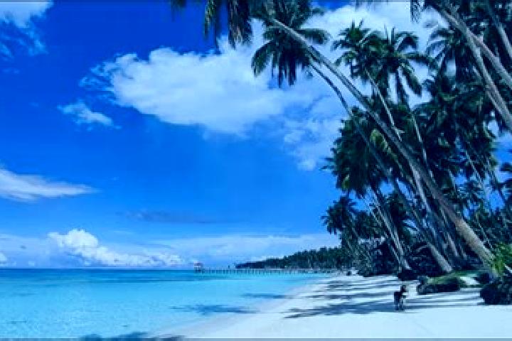 Violet, 28 — Escort in Jolo, Philippines