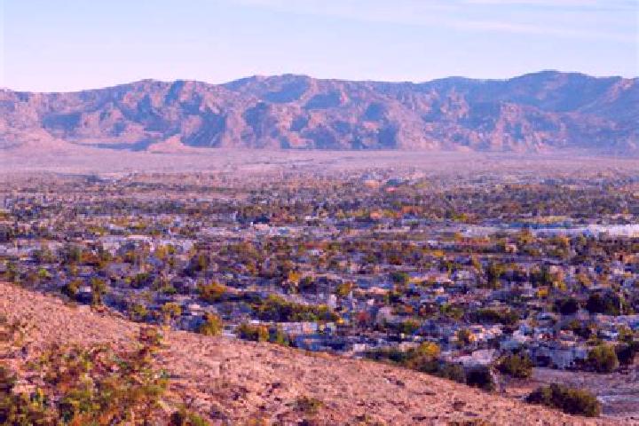Violet, 28 — Escort in Morongo Valley, United States