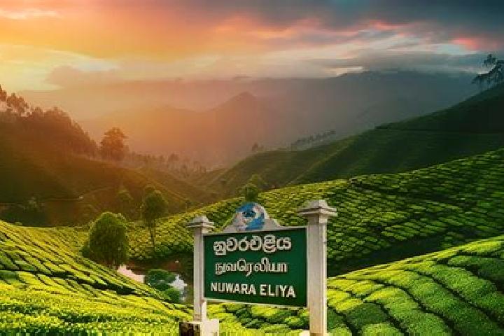 Violet, 28 — Escort in Nuwara Eliya, Sri Lanka