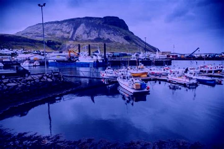 Violet, 28 — Escort in Olafsvik, Iceland