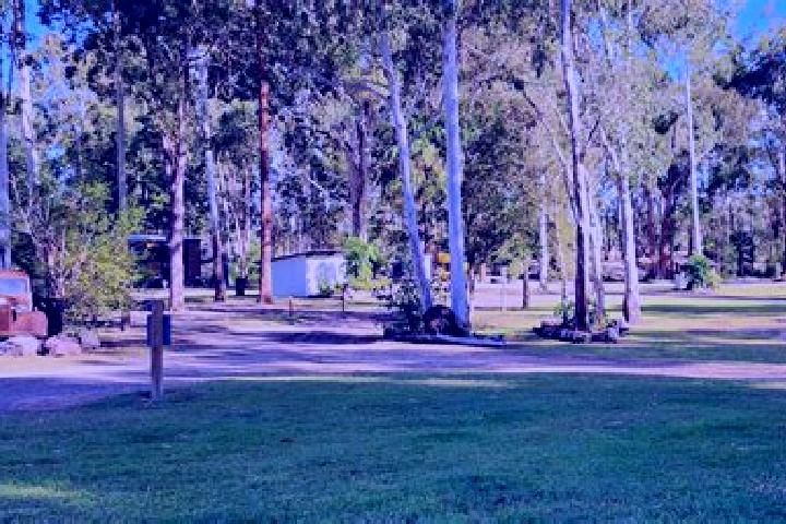 Violet, 28 — Escort in Pie Creek, Australia