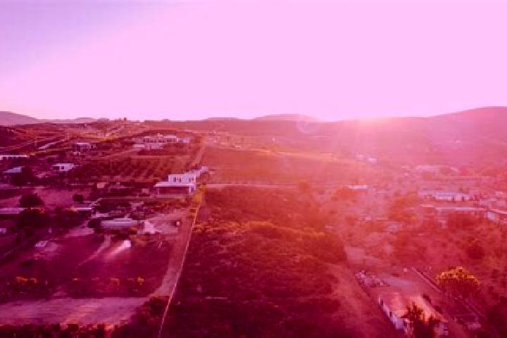 Violet, 28 — Escort in Villa Erendira, Mexico