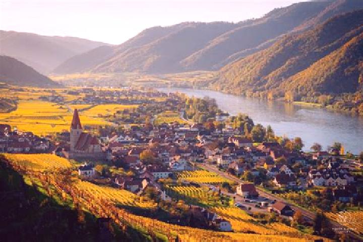 Violet, 28 — Escort in Weisskirchen an der Traun, Austria