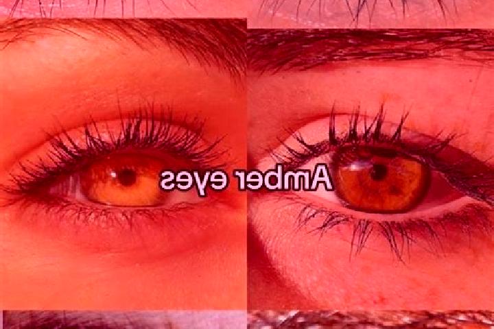 Violet, 29, a chestnut amber-eyed mixed companion based in Eifuku. Offering Overnight, Erotic Massage, Dinner Date. Available for incall and outcall, day and...