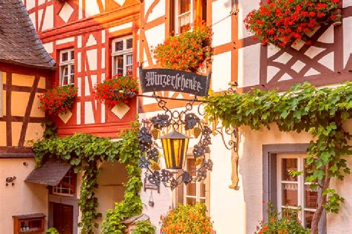 Violet, 29 — Escort in Bruck, Germany