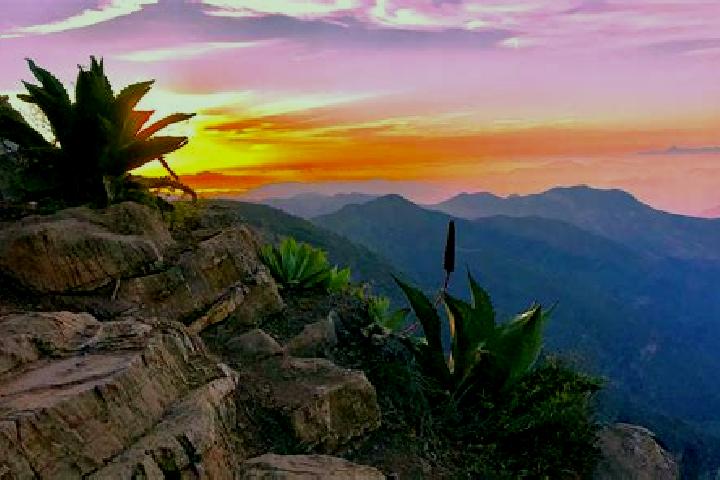 Violet, 29 — Escort in Campamento el Mirador, Mexico