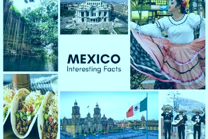 Violet, 29 — Escort in Chichilpa, Mexico