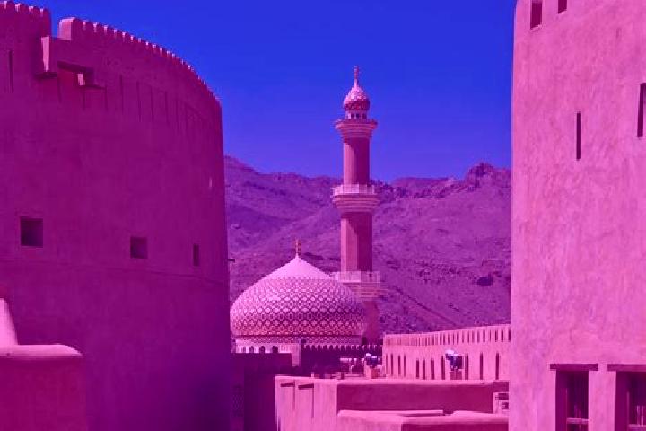 Violet, 29 — Escort in Hayma , Oman