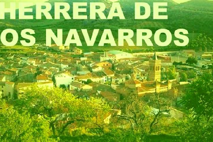 Violet, 29 — Escort in Herrera de los Navarros, Spain