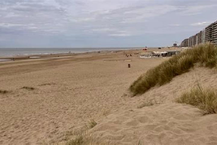 Violet, 29 — Escort in Middelkerke, Belgium