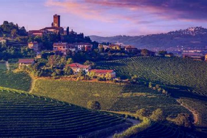 Violet, 29 — Escort in San Mango Piemonte, Italy