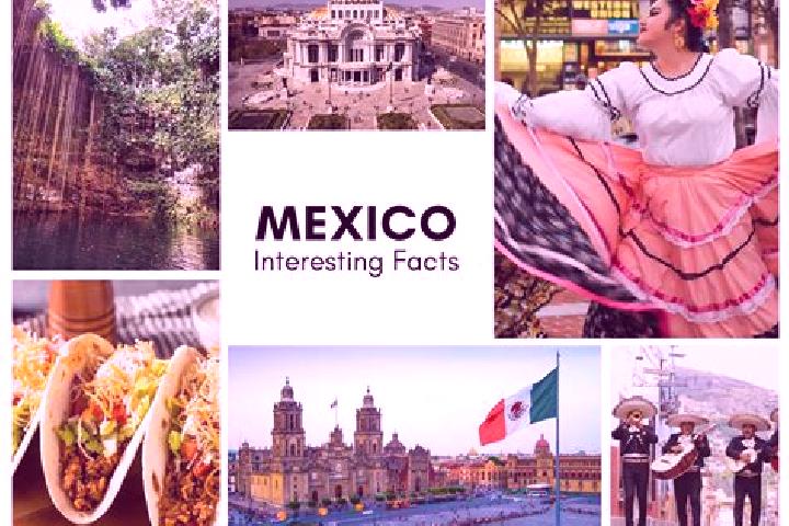 Violet, 29 — Escort in San Matias, Mexico
