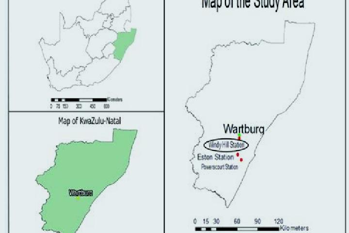 Violet, 29 — Escort in Wartburg, South Africa