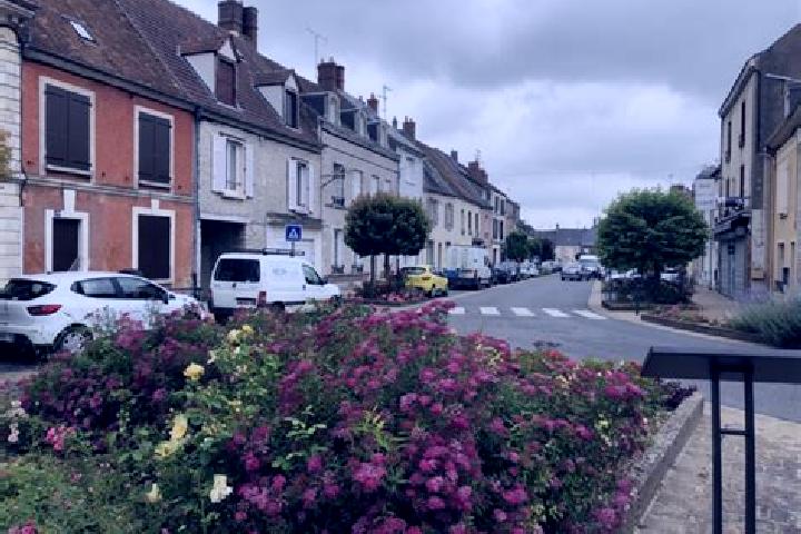 Violet, 30 — Escort in Angerville-la-Martel, France