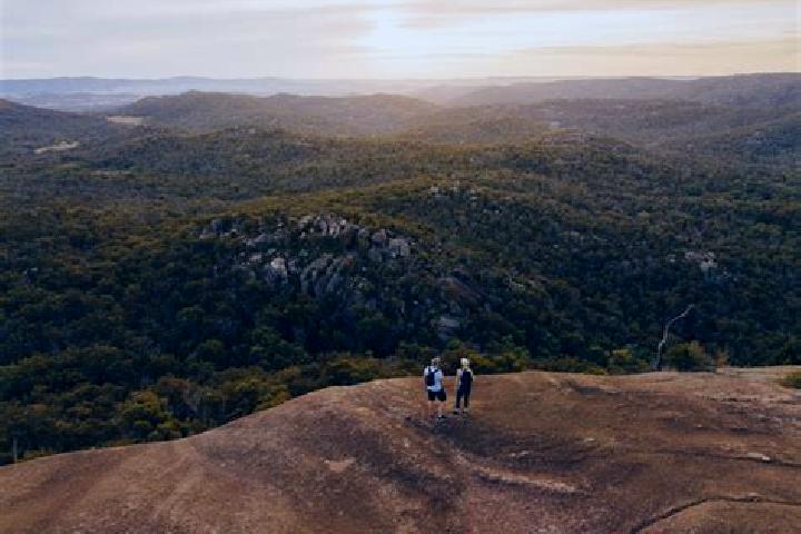 Violet, 30 — Escort in Crows Nest, Australia