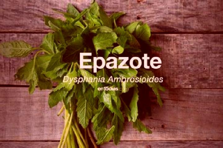 Violet, 30 — Escort in El Epazote, Mexico