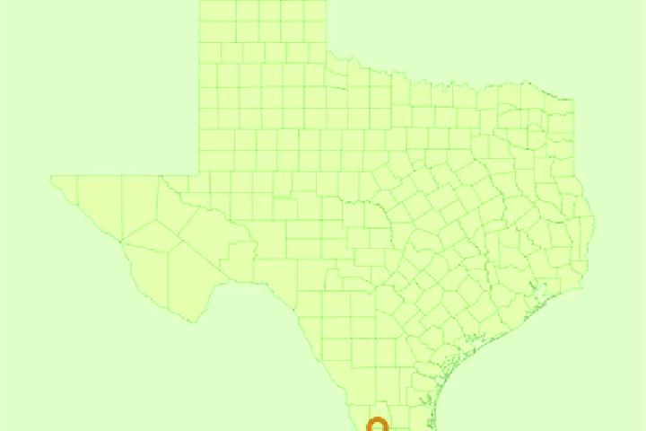Violet, 30 — Escort in Garza-Salinas II, United States